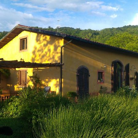 Podere Di Maggio - Casa Della Nonna Santa Fiora Exterior foto