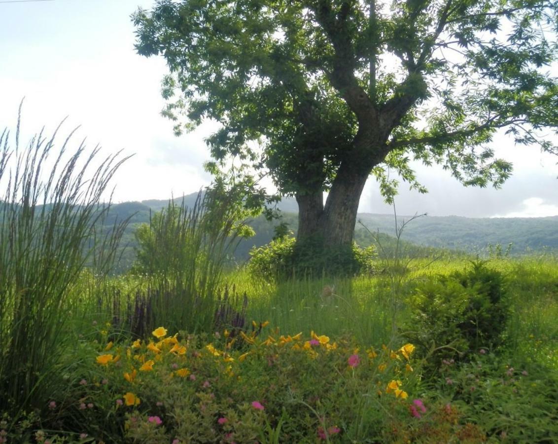 Podere Di Maggio - Casa Della Nonna Santa Fiora Exterior foto